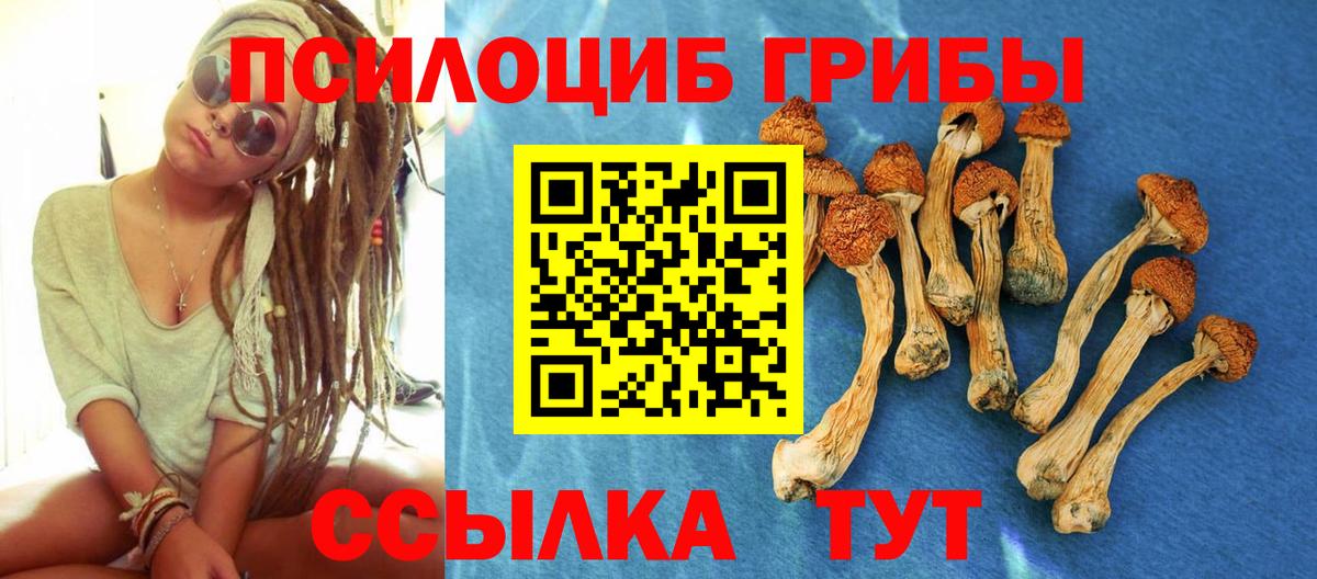 Галлюциногенные грибы прущие грибы Архангельск