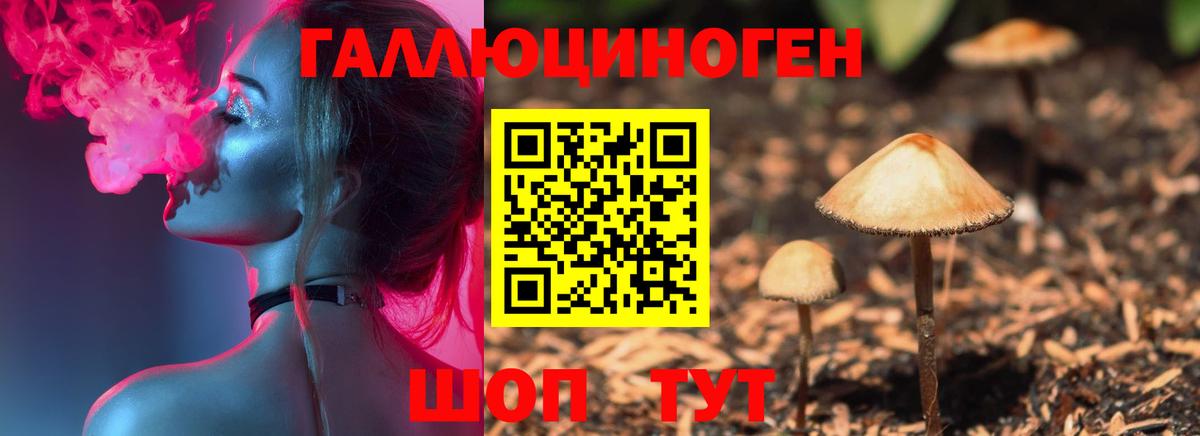 Архангельск  купить   Вход с VPN  Псилоцибиновые грибы Magic Shrooms 